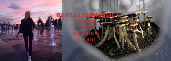 прущая мука Лиски