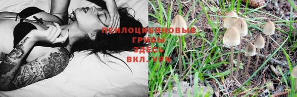прущая мука Лиски