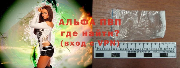 PSILOCYBIN Майский