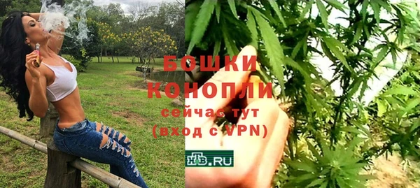 крисы Богородицк