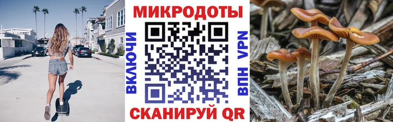 Галлюциногенные грибы Psilocybine cubensis  Туринск 